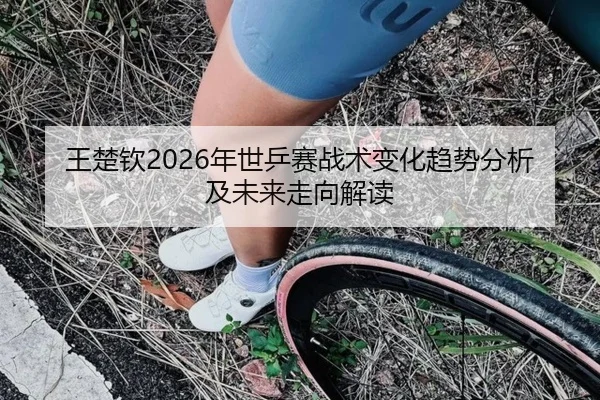 王楚钦2026年世乒赛战术变化趋势分析及未来走向解读